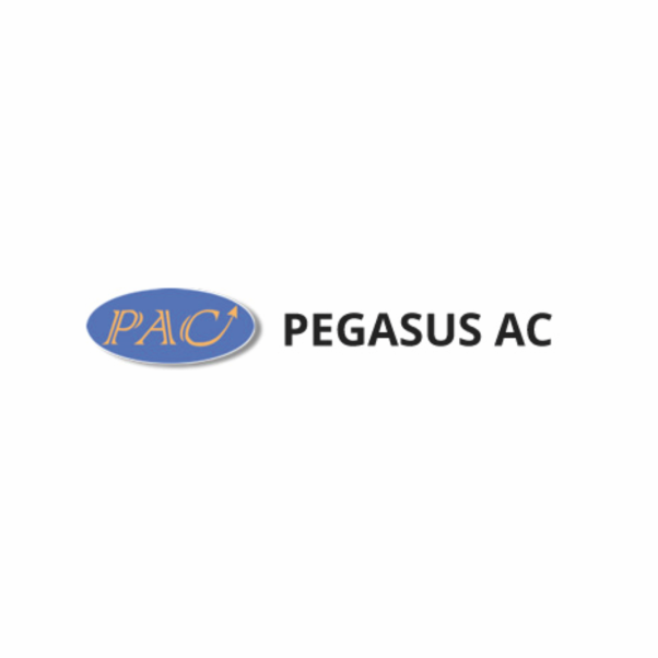 pegasus-1.png